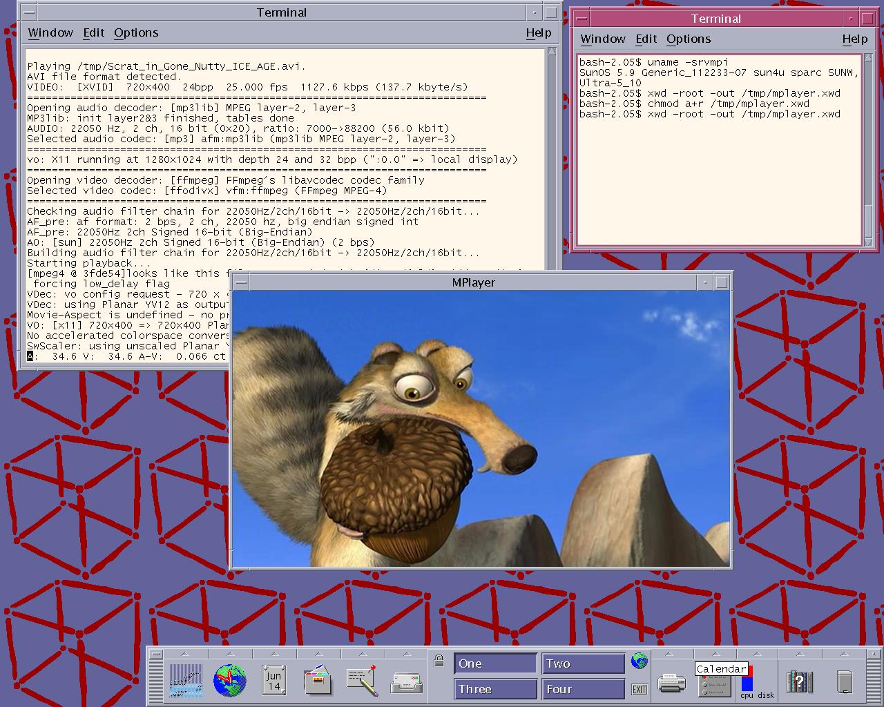 MPlayer The Movie Player